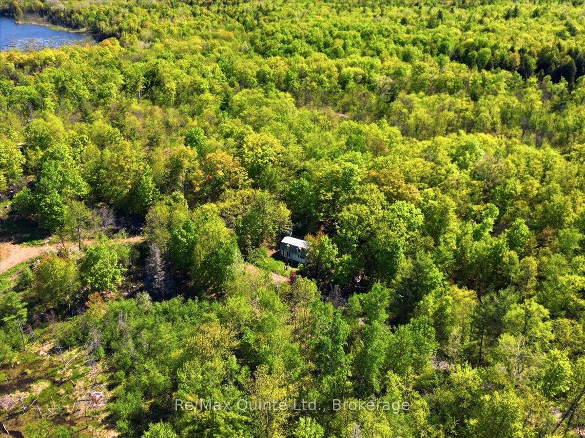 104577 Hwy 7 Highway, Marmora and Lake — photo 5 of 5