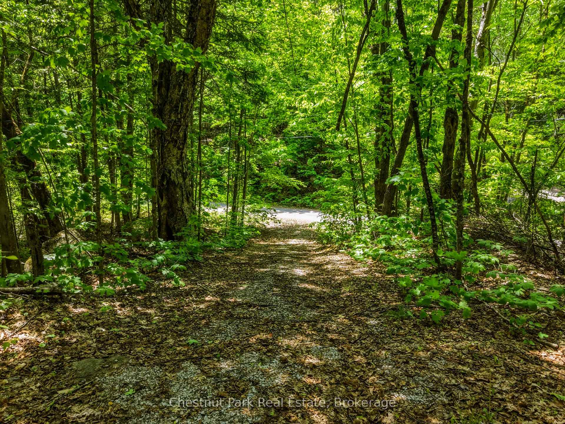 1045 North Pine Drive, Lake of Bays — photo 4 of 5