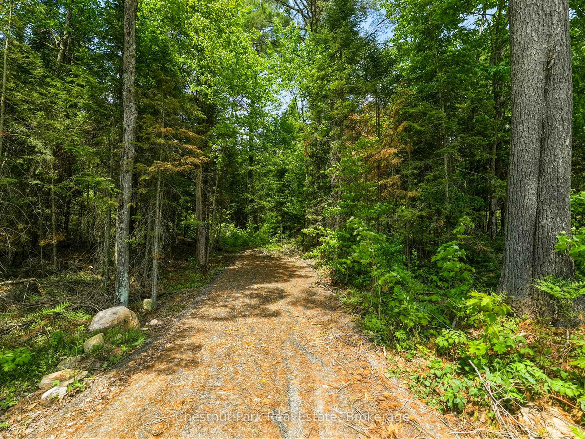 1045 North Pine Drive, Lake of Bays — photo 5 of 5