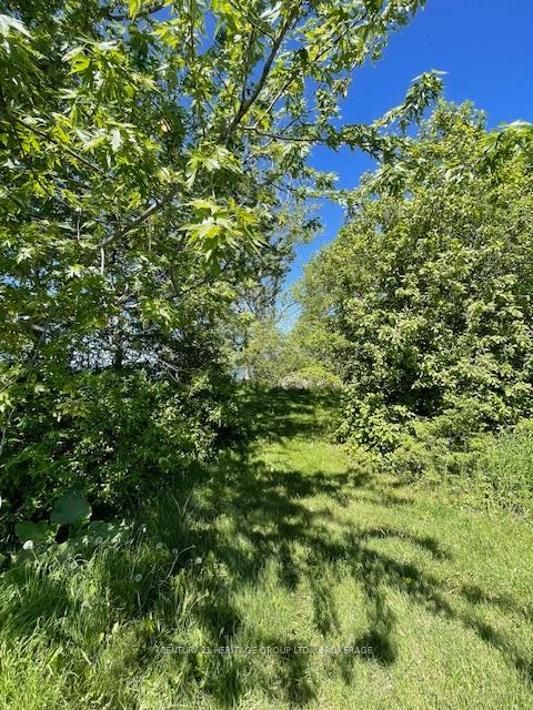 00 10th Line Road, Frontenac Islands — photo 2 of 5