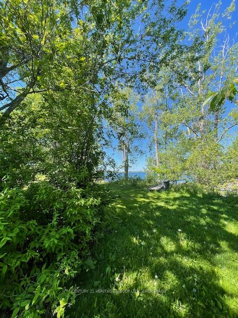 00 10th Line Road, Frontenac Islands — photo 3 of 5