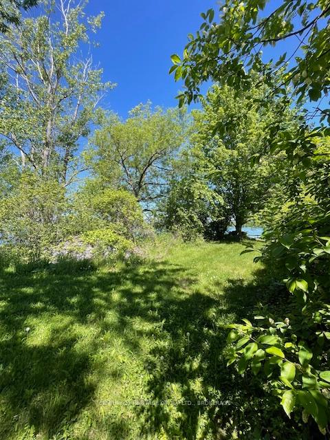 00 10th Line Road, Frontenac Islands — photo 4 of 5