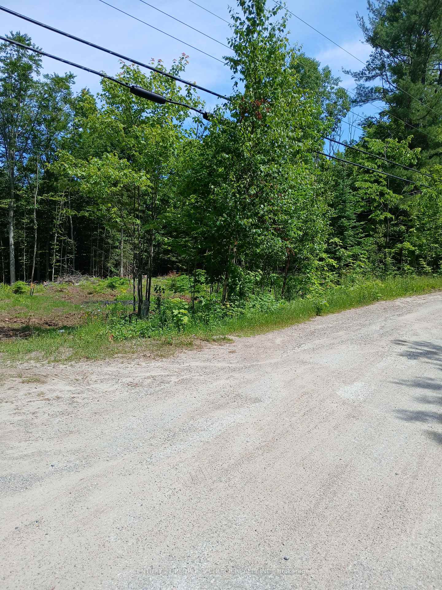 1005 Porkys Road, Minden Hills, ON K0M 2K0 — Minden Hills, Ontario
