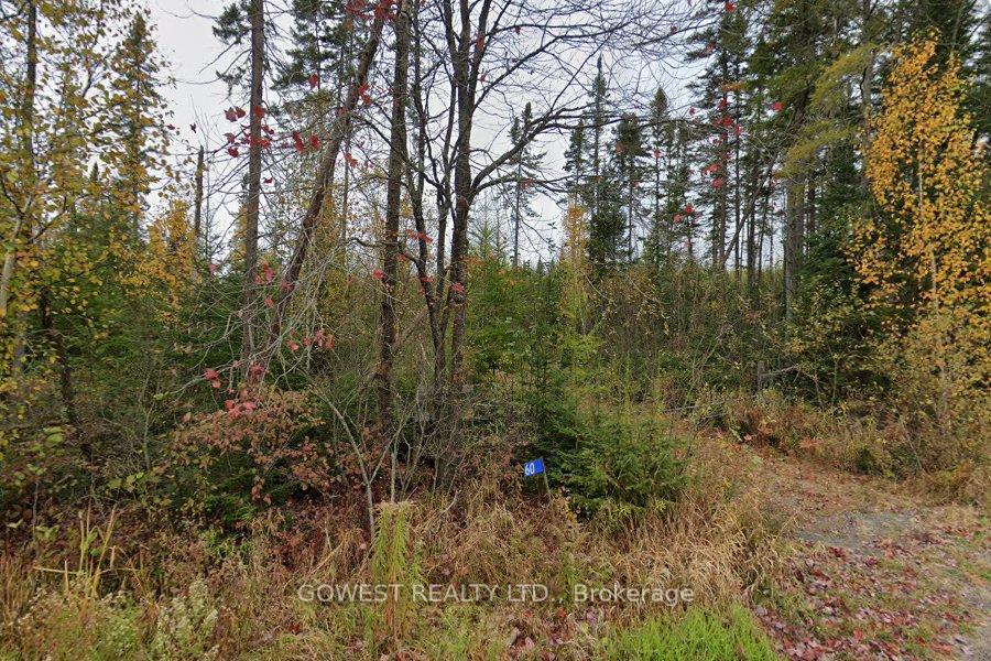 60 STAHLS Road, Huntsville, ON P1H 2J4 — Huntsville, Ontario