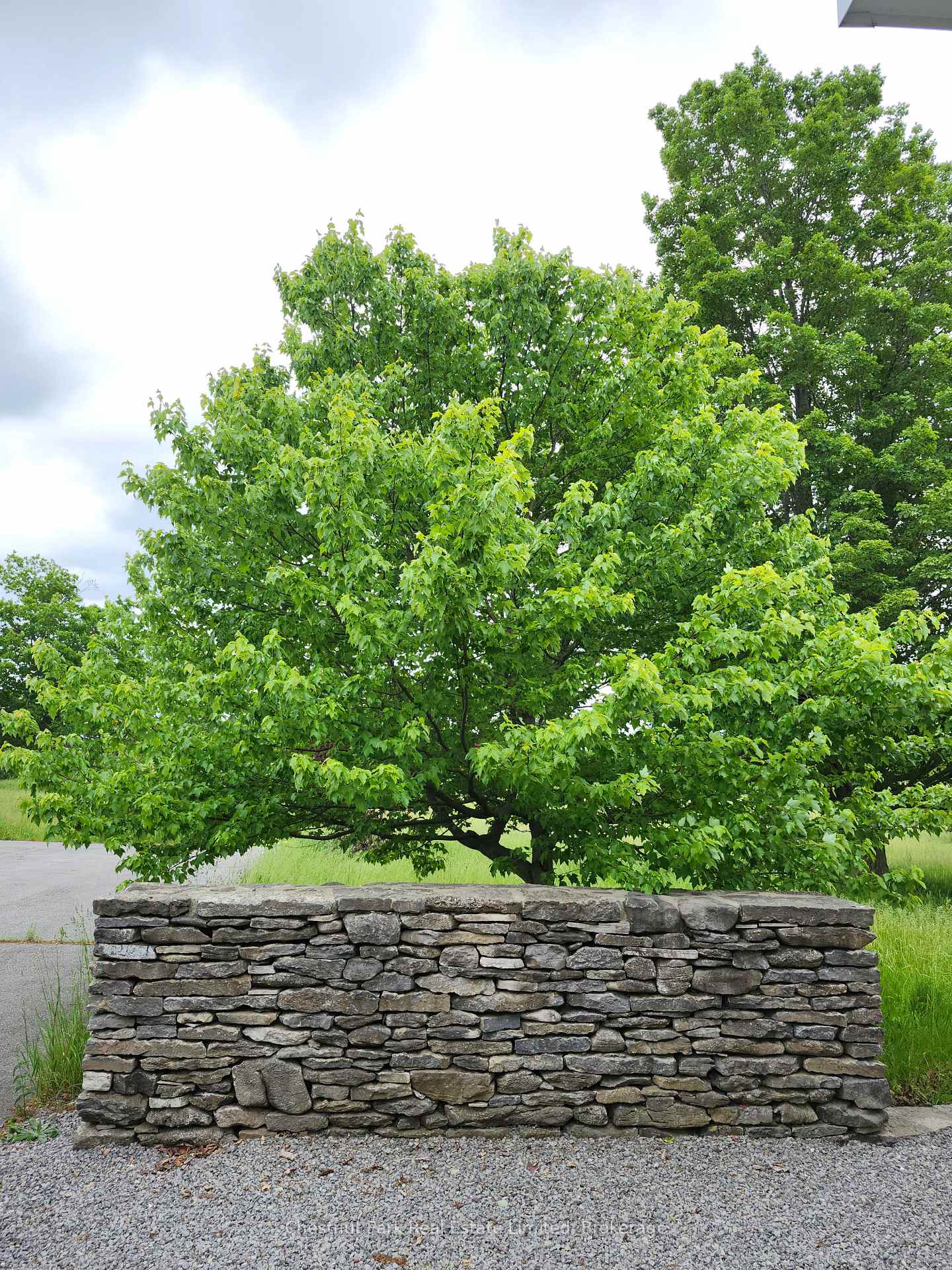 132 Mckinley Cross, Prince Edward County — photo 4 of 5