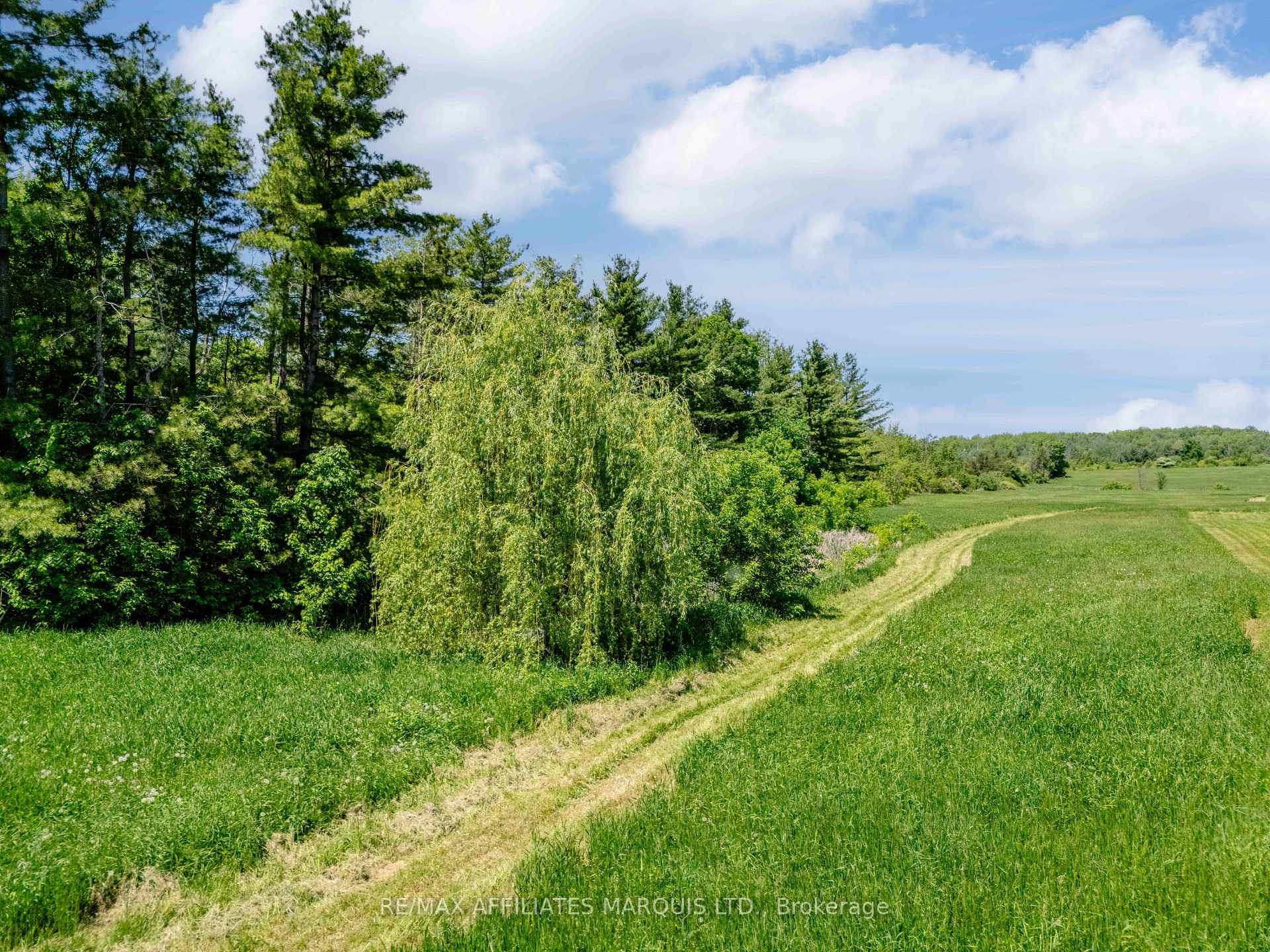 00000 Paragon Road, South Glengarry — photo 4 of 5
