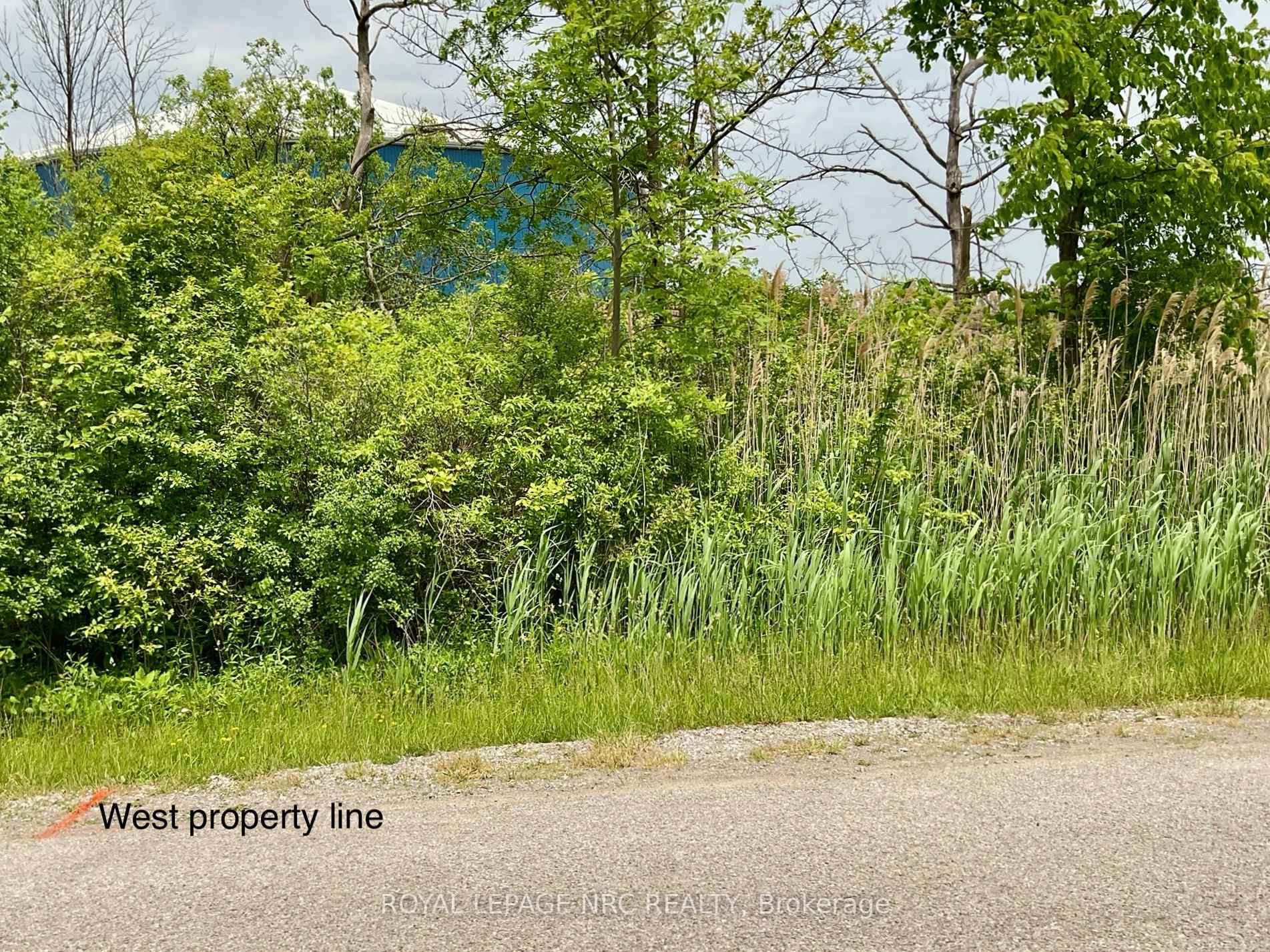 26 Shaw Street, Welland — photo 4 of 5