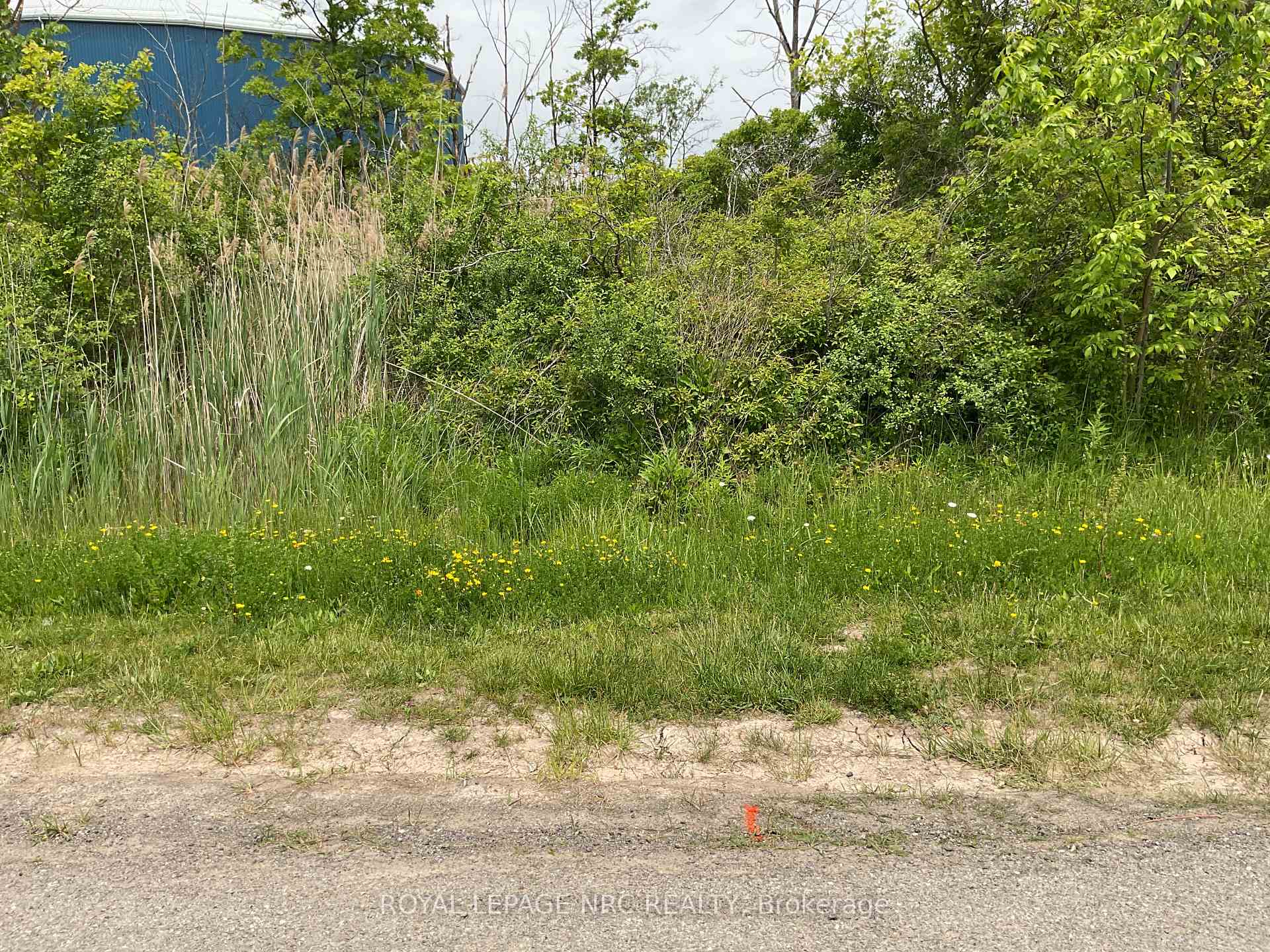 26 Shaw Street, Welland — photo 5 of 5