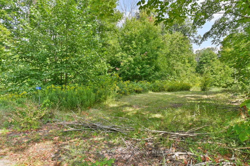 316 High Shore Road, Marmora and Lake, ON K0K 2M0 — Marmora and Lake, Ontario