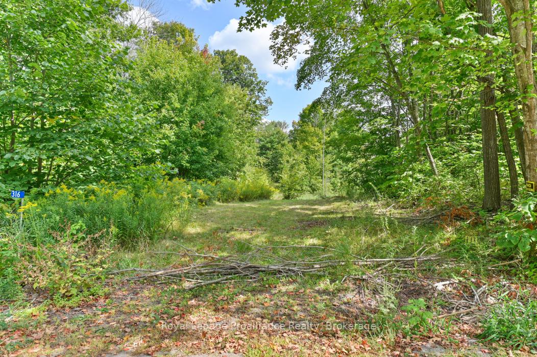 316 High Shore Road, Marmora and Lake — photo 2 of 5