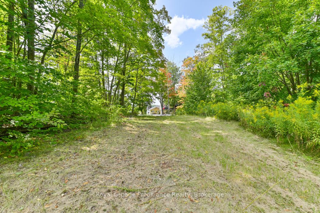 316 High Shore Road, Marmora and Lake — photo 4 of 5