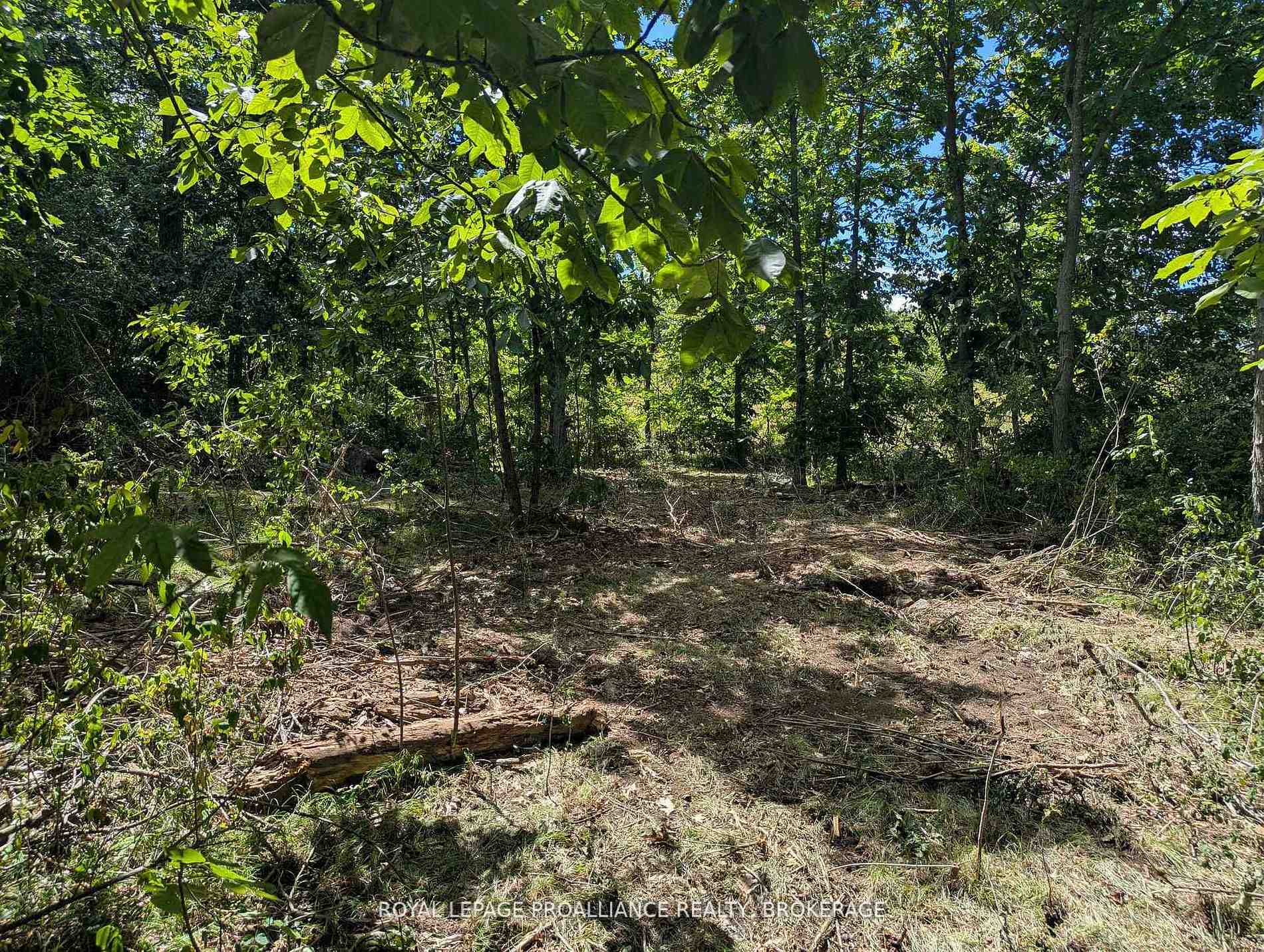 2621 4th Concession Road, Kingston, ON K0H 1Y0