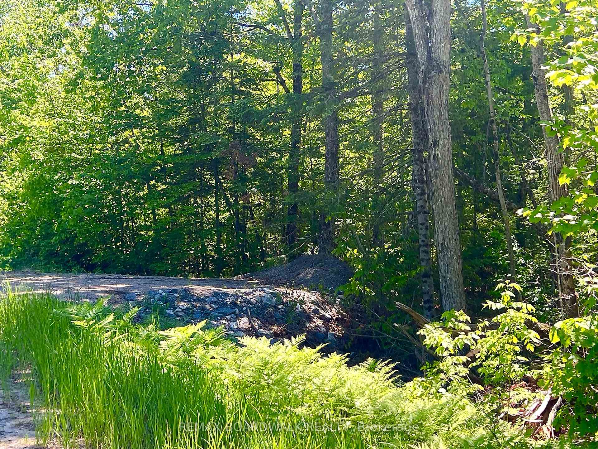 00 Buckshot Lake Road, Addington Highlands, ON K0H 1K0