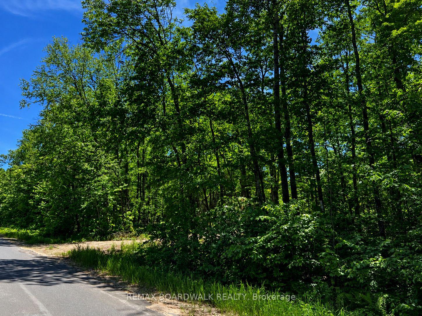 0 Buckshot Lake Road, Addington Highlands, ON K0H 1K0