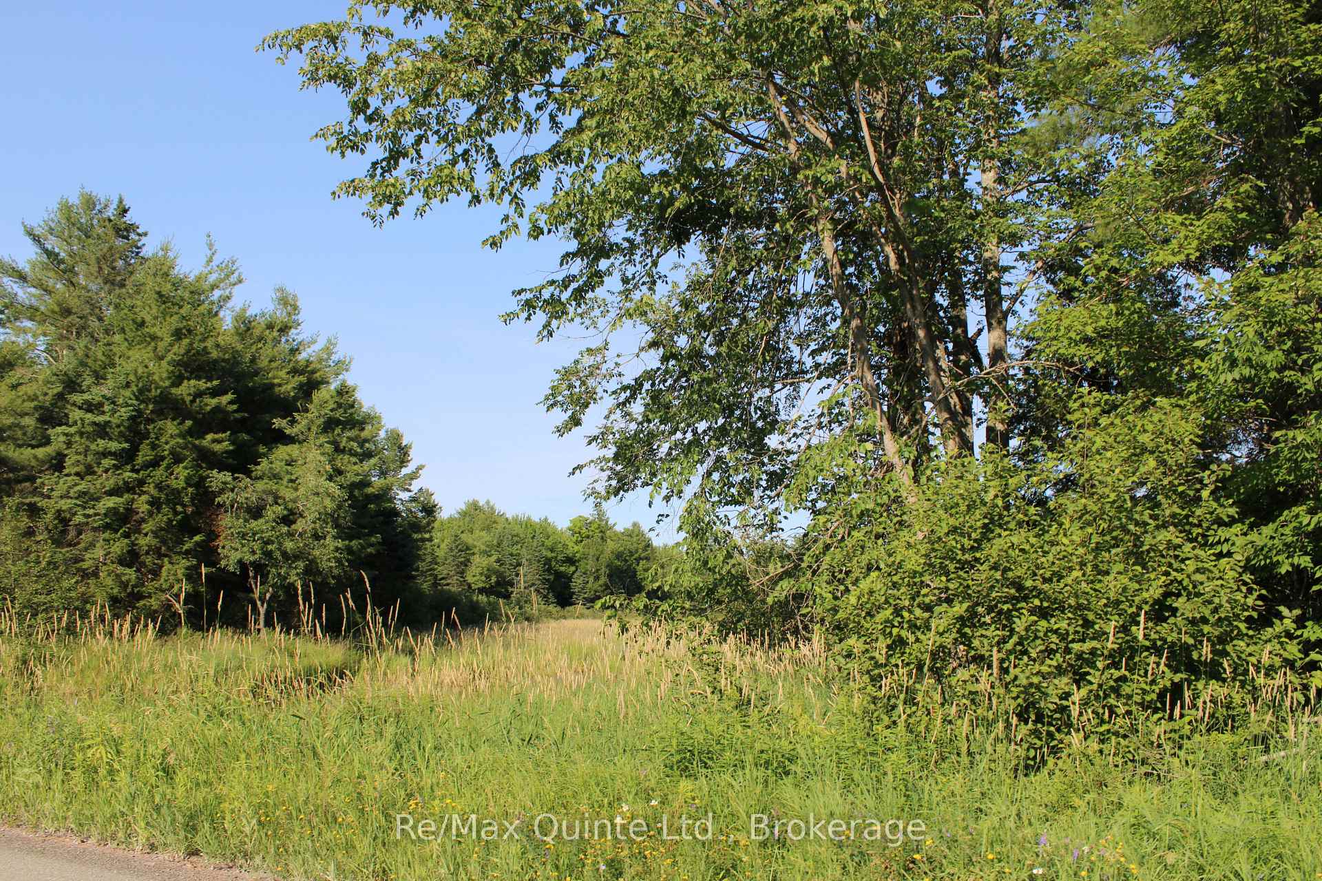494 Twin Sister Lakes Road, Marmora and Lake, ON K0K 2M0 — Marmora and Lake, Ontario