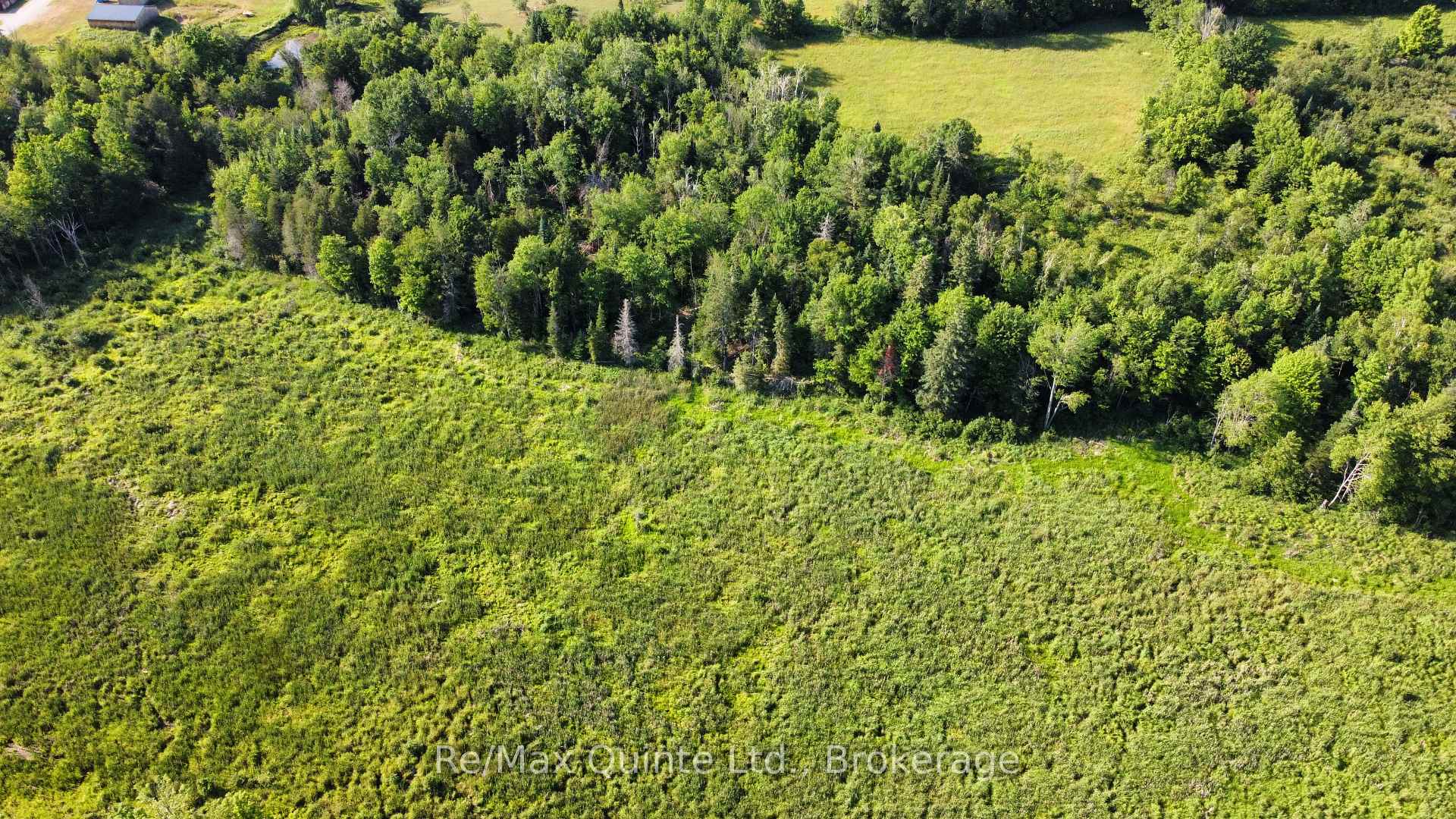 494 Twin Sister Lakes Road, Marmora and Lake — photo 4 of 5