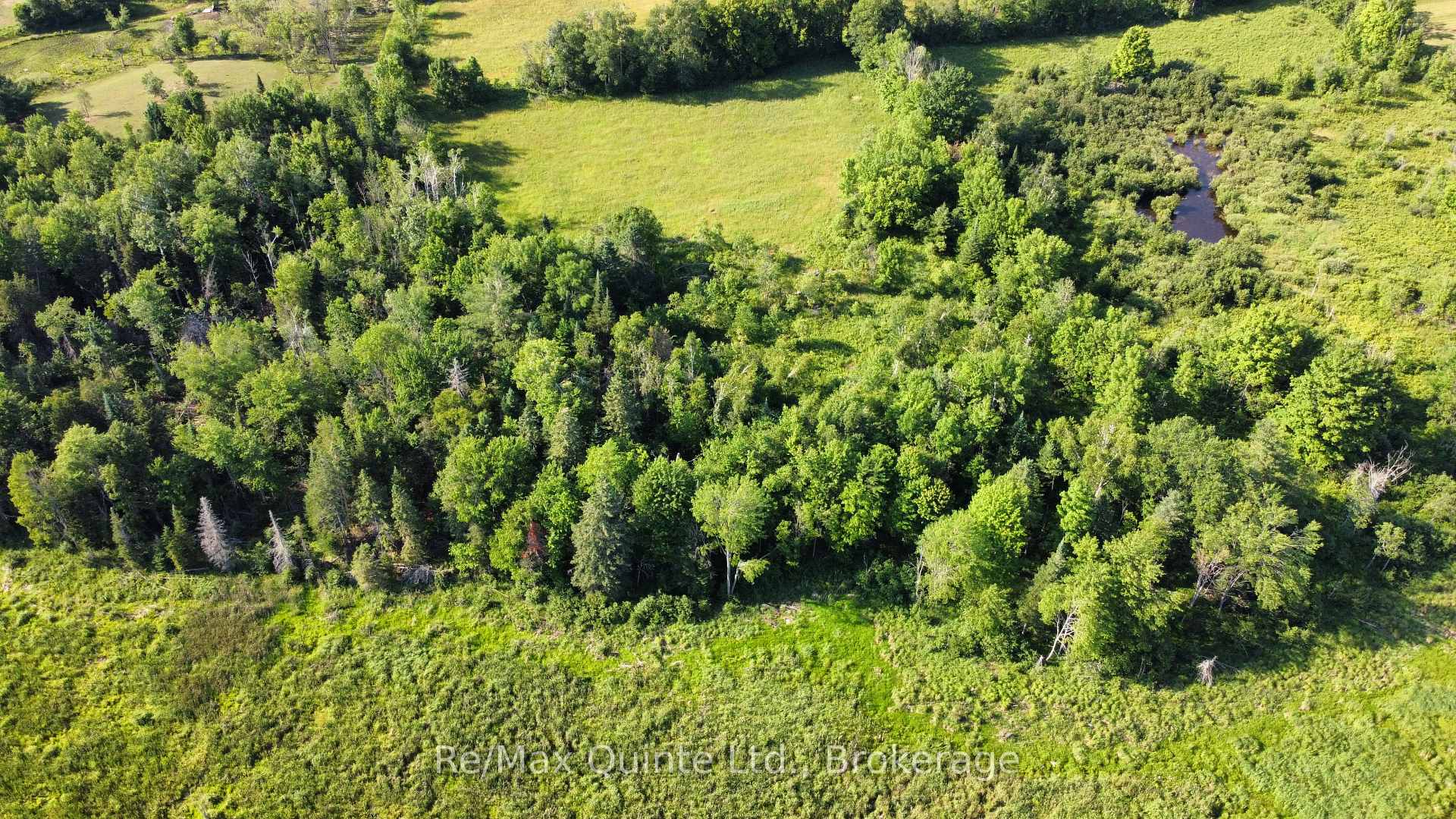 494 Twin Sister Lakes Road, Marmora and Lake — photo 5 of 5