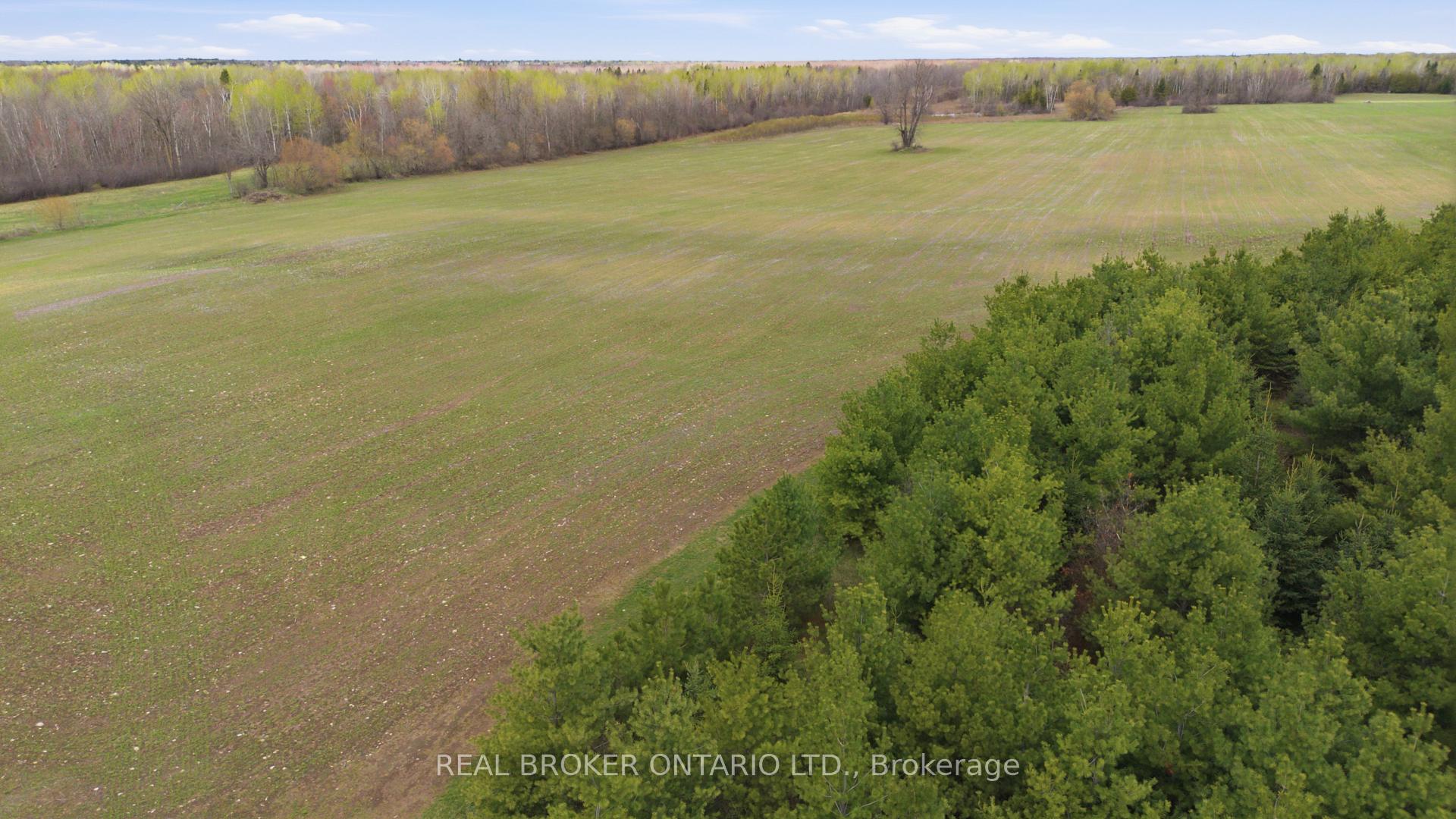 3115 PADEN Road, Manotick - Kars - Rideau Twp and Area, ON K0A 2T0