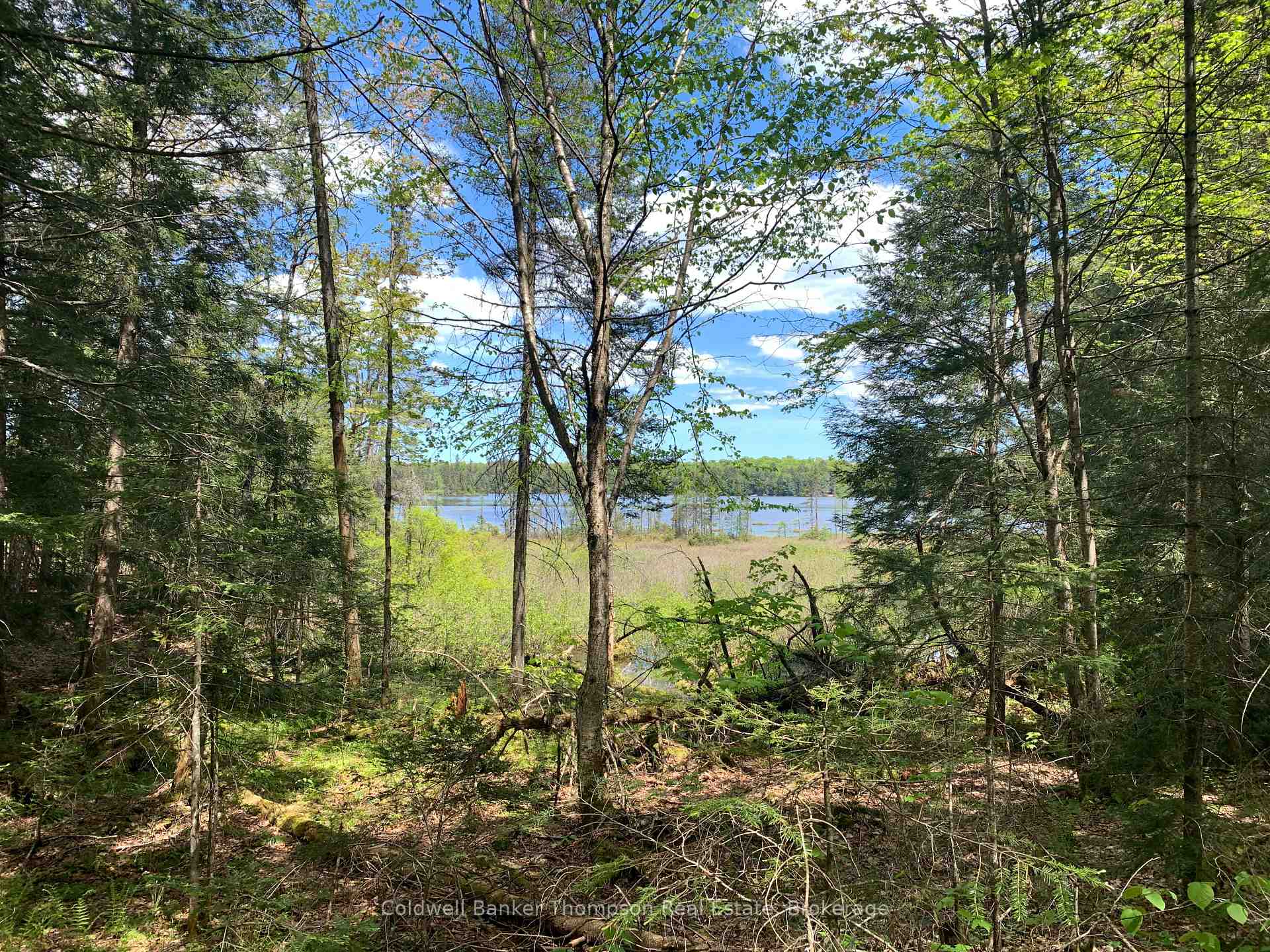 Lot 16 Maxwell Lane, Parry Sound Remote Area, ON P0A 1X0