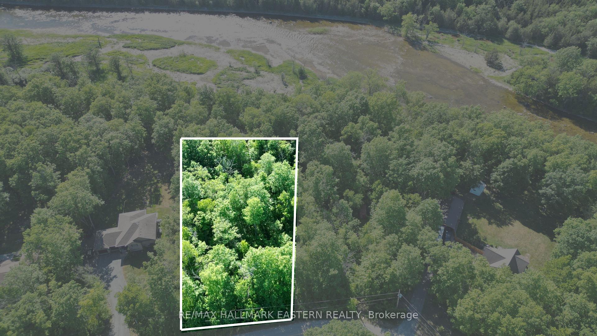 20 Riverside Drive, Trent Hills — photo 2 of 5