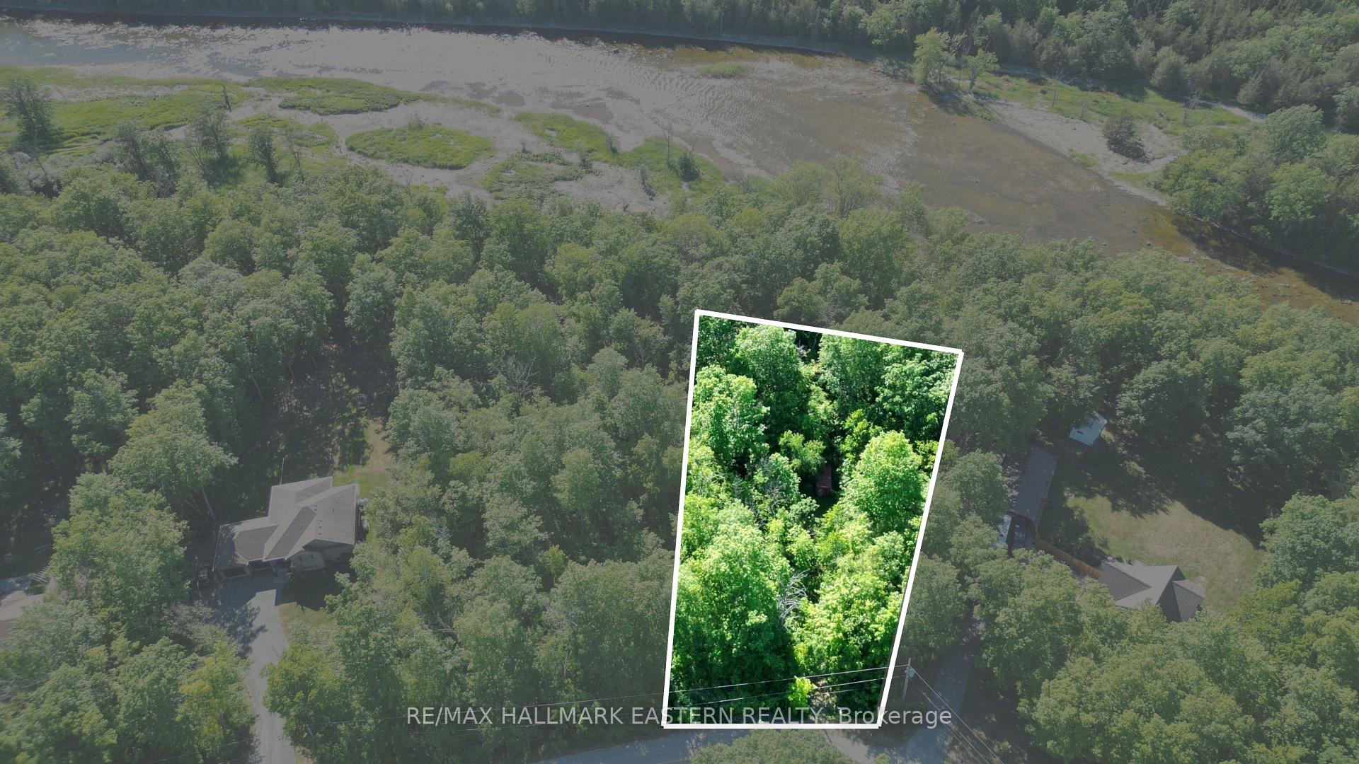 21 Riverside Drive, Trent Hills — photo 2 of 5
