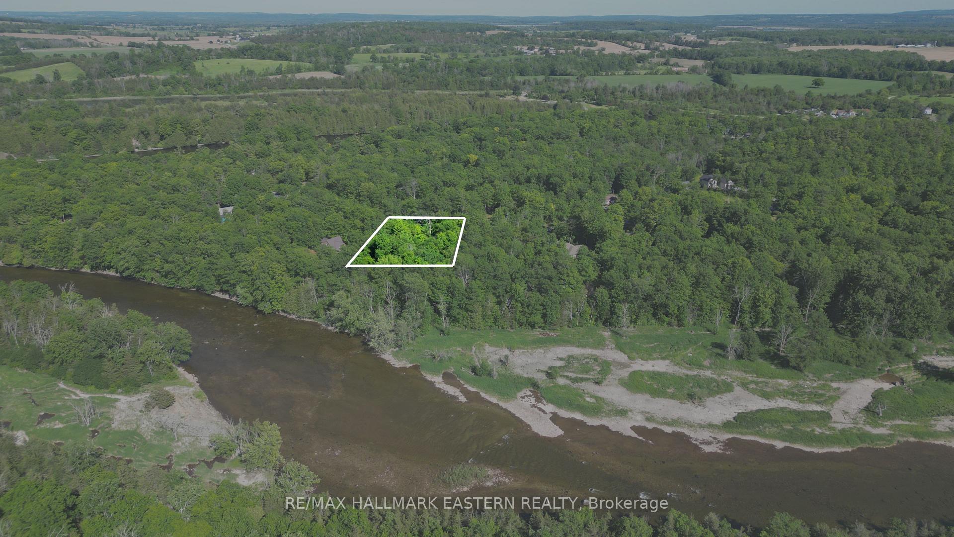 21 Riverside Drive, Trent Hills — photo 4 of 5