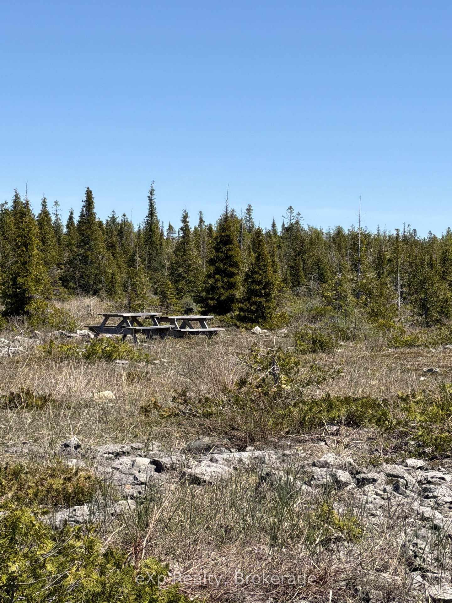 PT LT 2 8 WBR AS IN R371951 Concession, Northern Bruce Peninsula — photo 3 of 5
