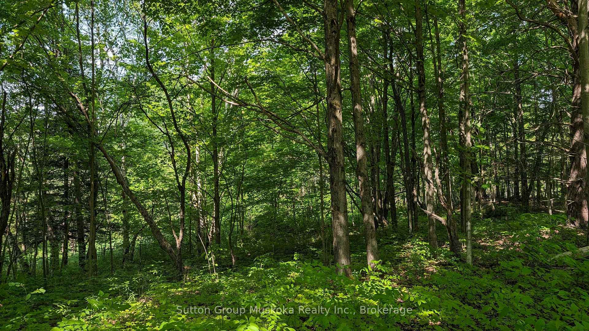Lot 2 Tally-Ho Winter Park Road, Lake of Bays — photo 3 of 5