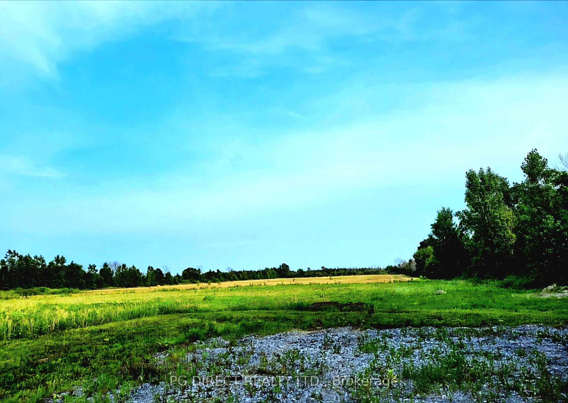 329 County Rd 3 Road, Prince Edward County — photo 2 of 5