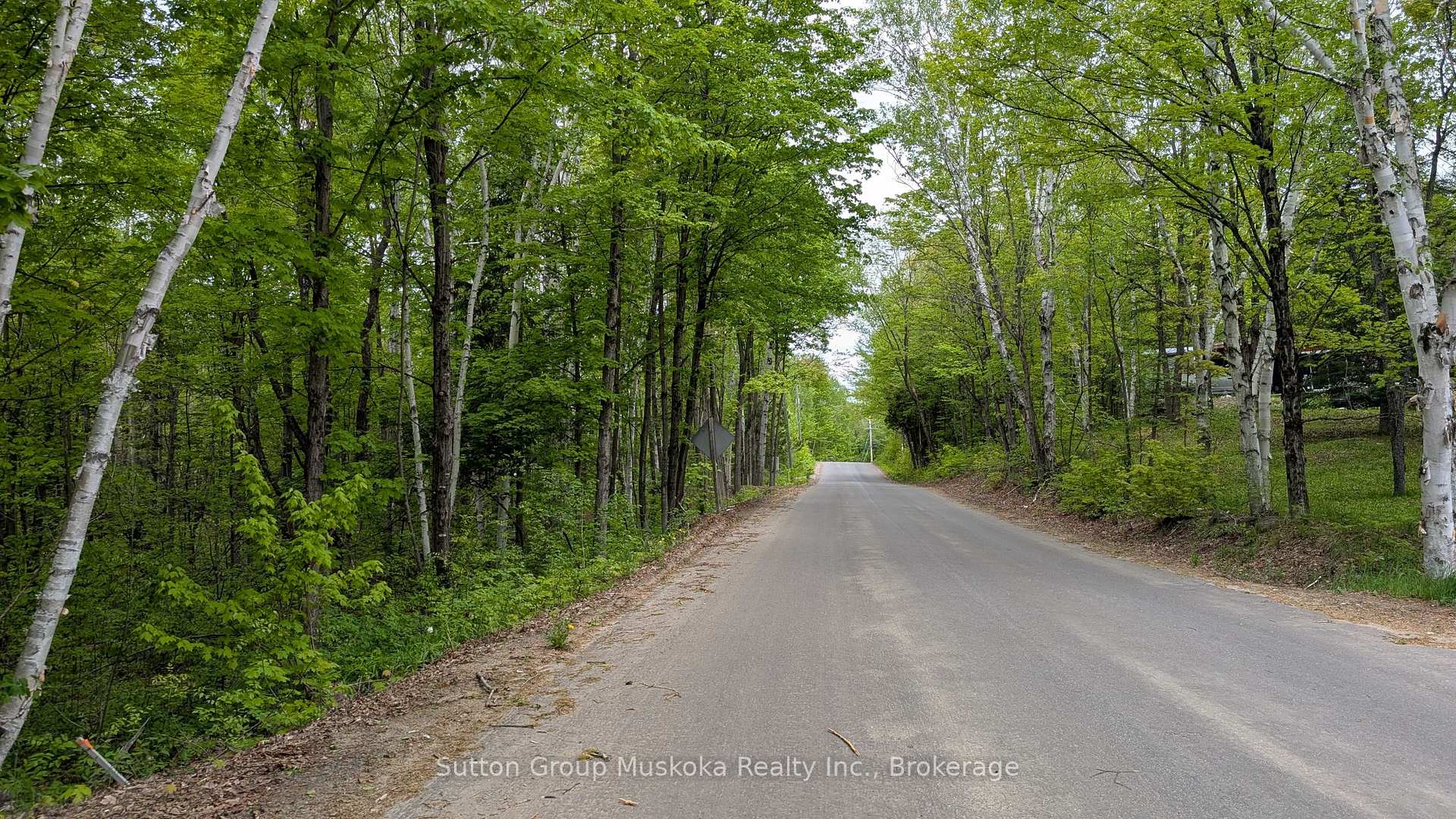 Lot 1 Tally-Ho Winter Park Road, Lake of Bays, ON P1H 2E8 — Lake of Bays, Ontario