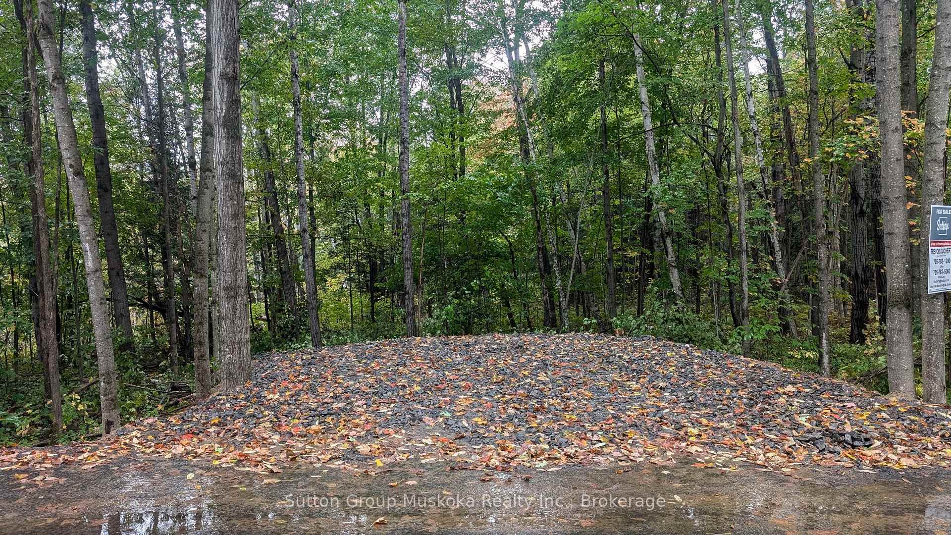 Lot 1 Tally-Ho Winter Park Road, Lake of Bays — photo 2 of 5