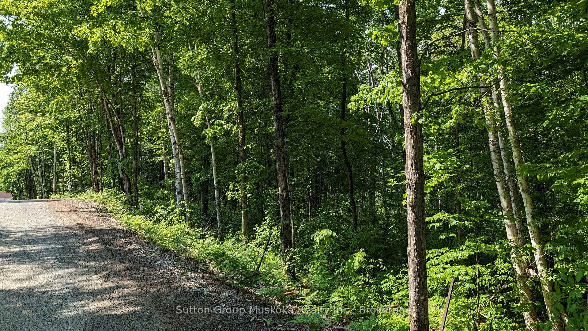 Lot 1 Tally-Ho Winter Park Road, Lake of Bays — photo 5 of 5