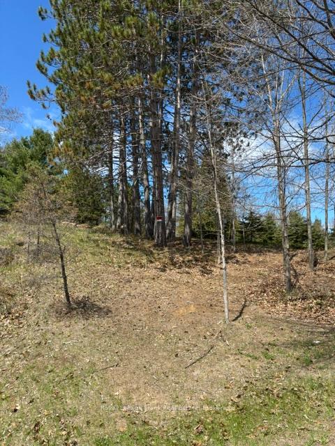 26686 Highway 62 N/A S, Bancroft, ON K0L 1C0