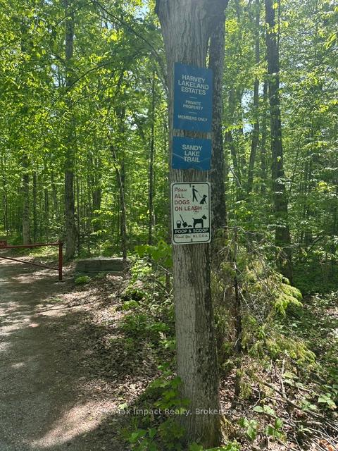 slider-listing