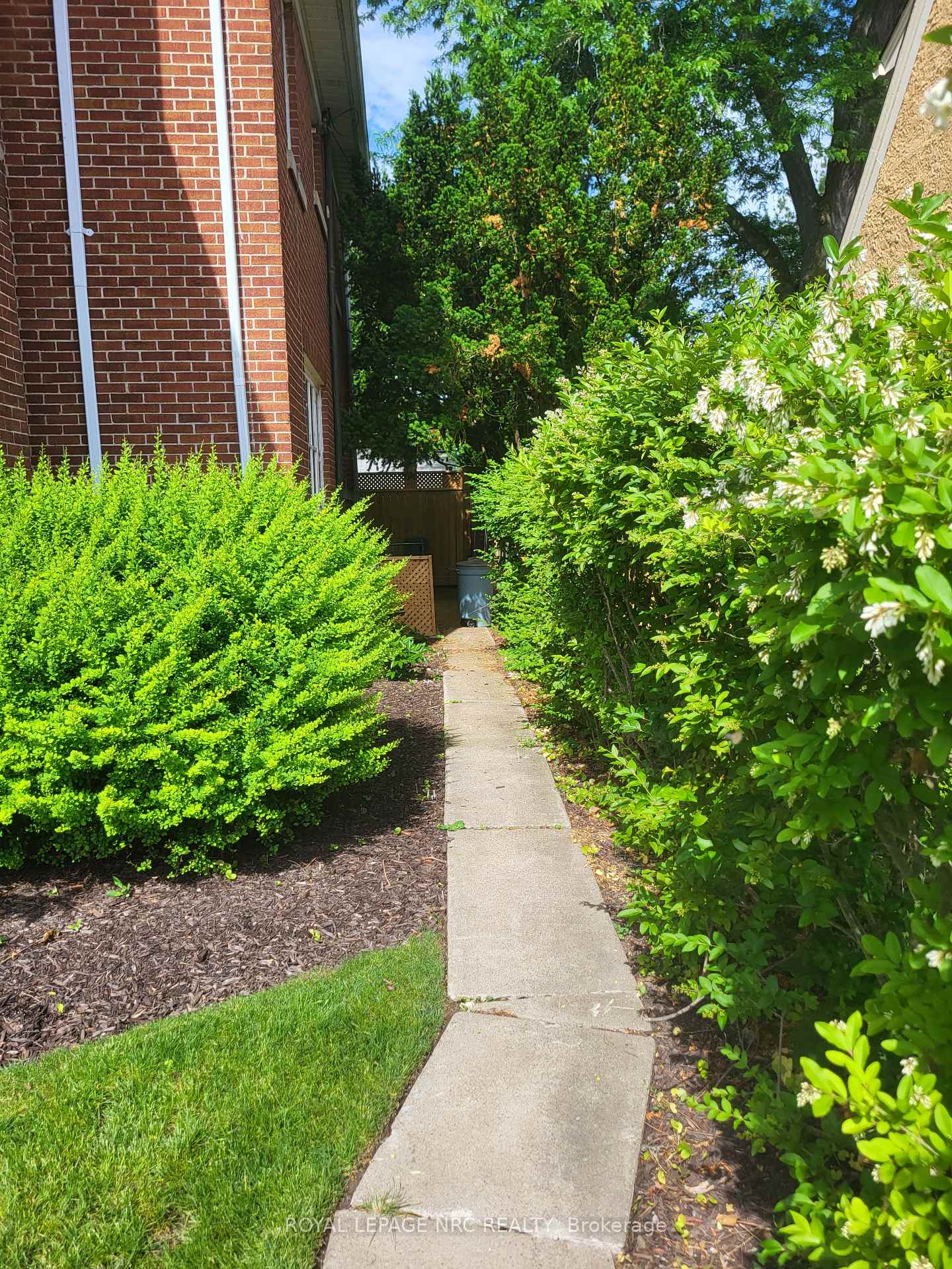1 Wychwood Road Basement, St. Catharines, ON L2R 3R8