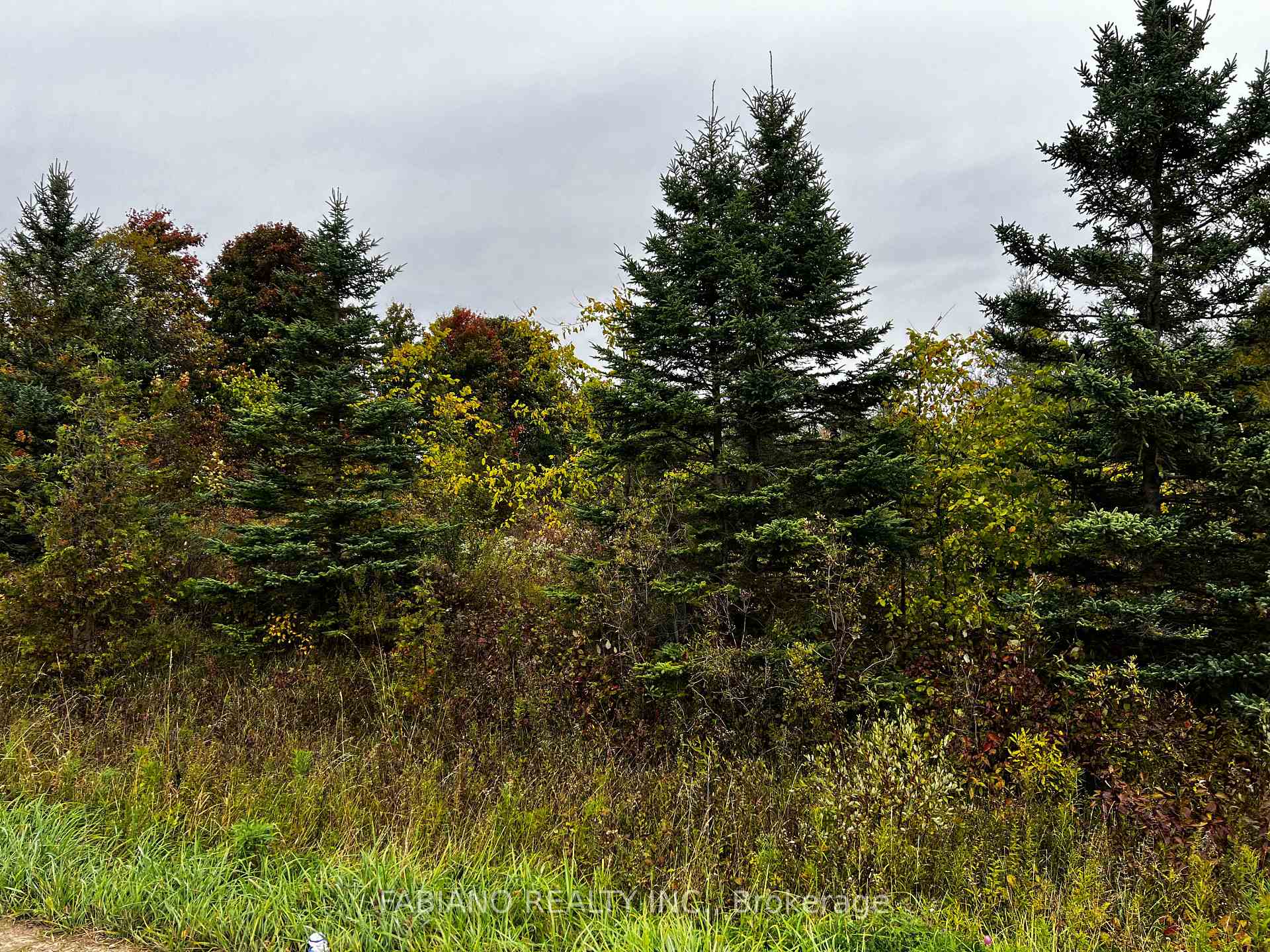 257 4th Line Concession 4 SW Line, Melancthon, ON L9V 2C3