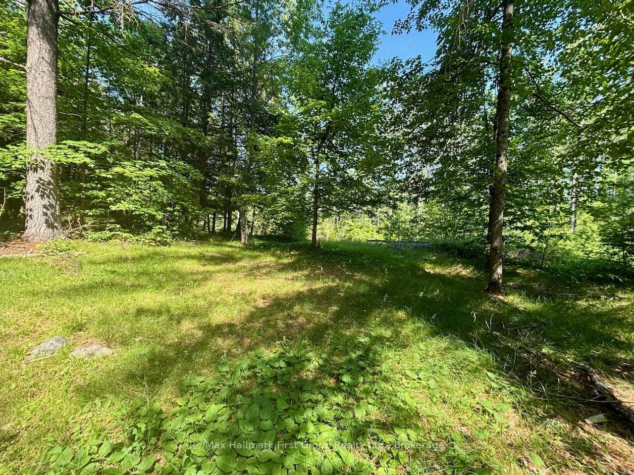 2495 Flinton Road, Addington Highlands, ON K0H 1P0
