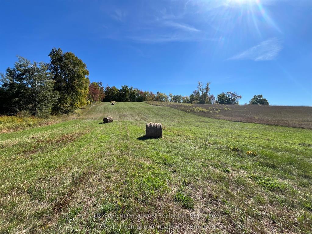 213 Vansickle Road, Havelock-Belmont-Methuen, ON K0L 1Z0