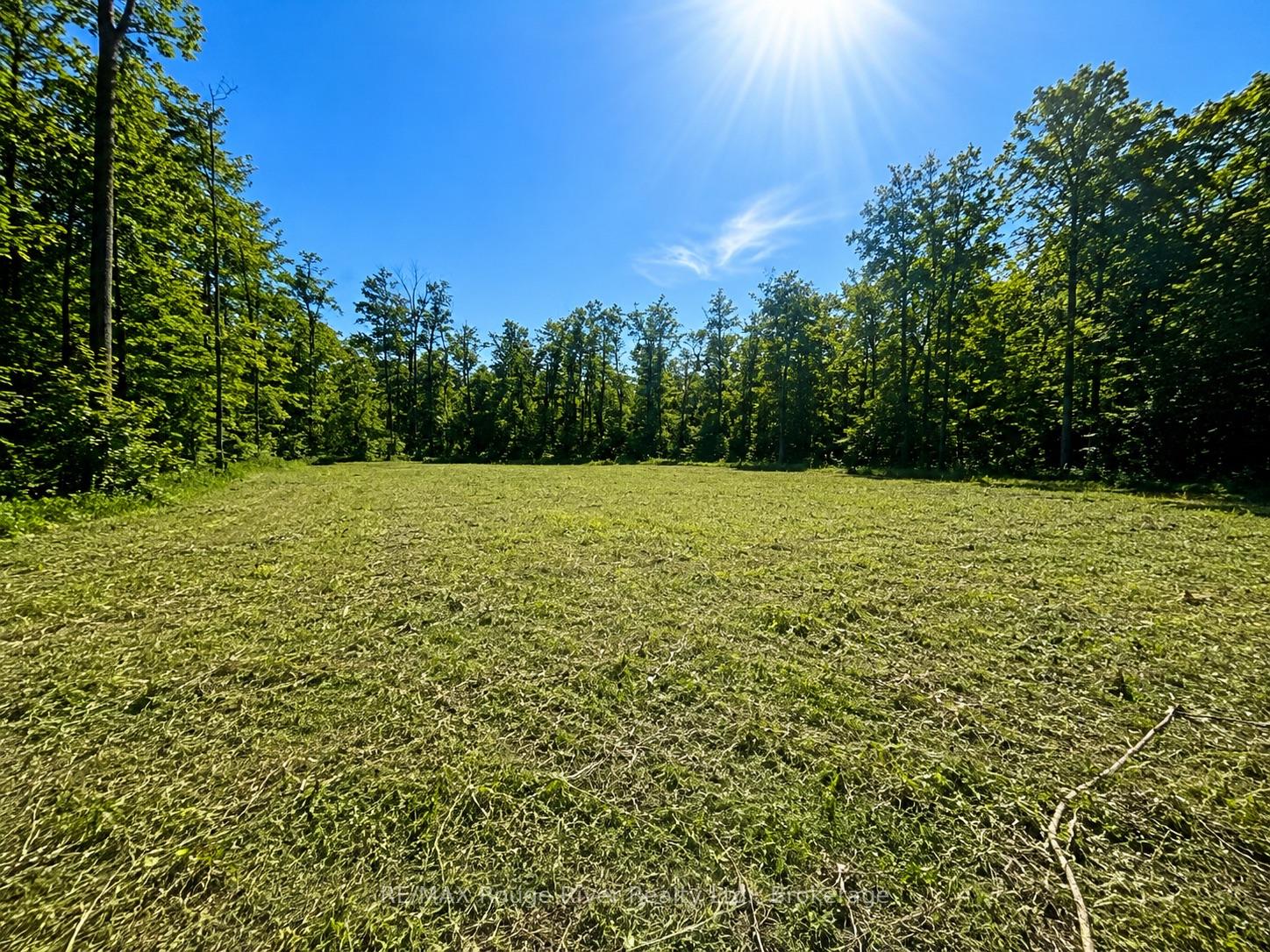1293 David Fife Line, Otonabee-South Monaghan, ON K0L 2G0