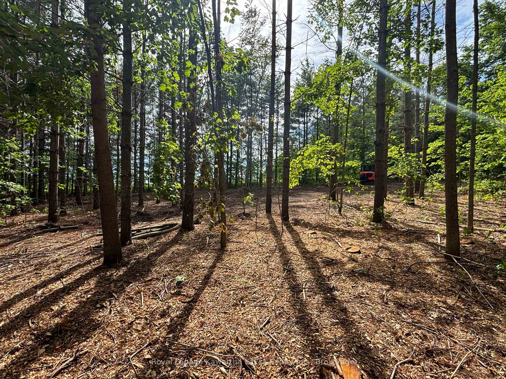 PT Lt 11 Con 7 Ranchers Road, Kawartha Lakes, ON K0M 1G0