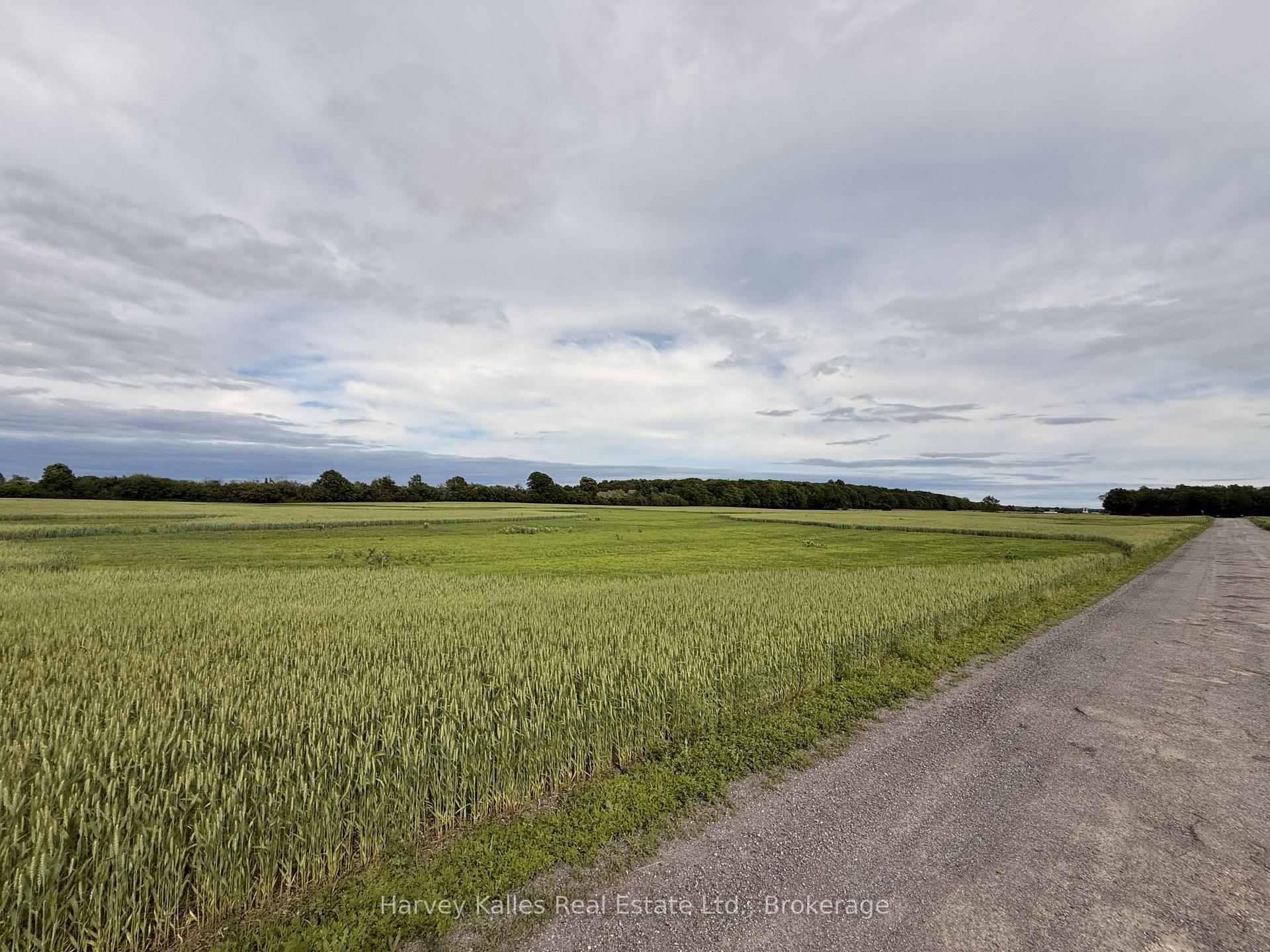 243 Morgan Road, Prince Edward County, ON K0K 1G0
