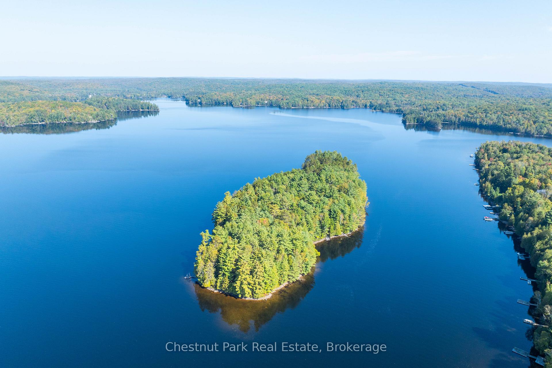 10000 Soyers - Brown Island N/A, Minden Hills, ON K0M 2K0