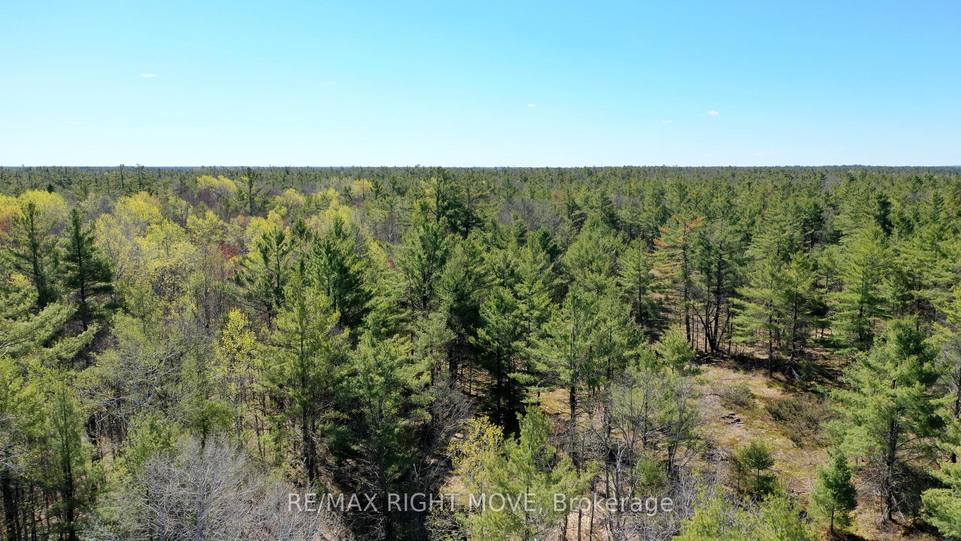 2503 Southwood Road, Gravenhurst, ON P0E 1G0