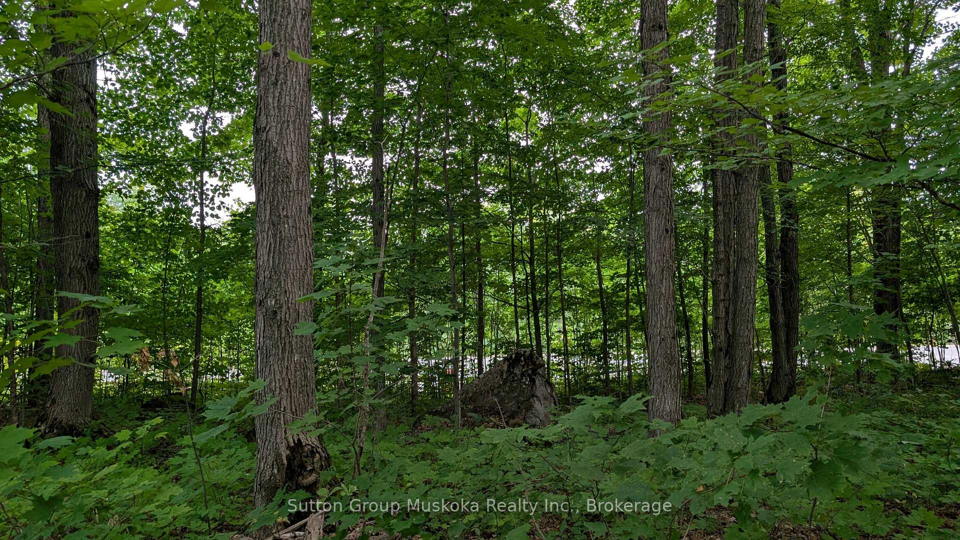 837 Aspdin Road, Huntsville, ON P1H 0H2