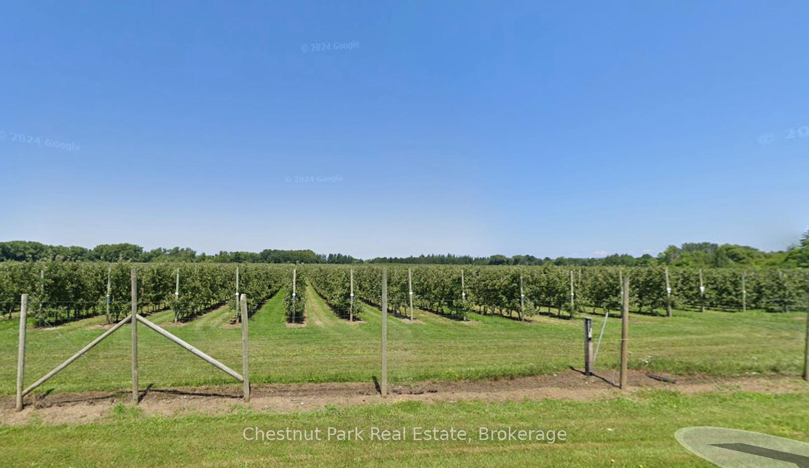 PT LT 31 Sideroad 30 N/A, Blue Mountains, ON N0H 2P0