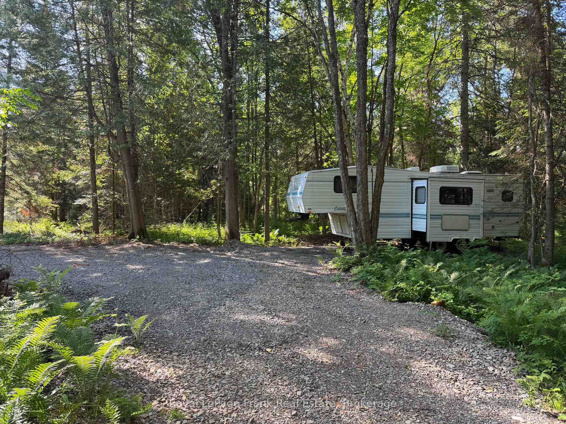 0 Pt Lt 13 Con 8 Road, Wollaston, ON K0L 1A0 — Wollaston, Ontario