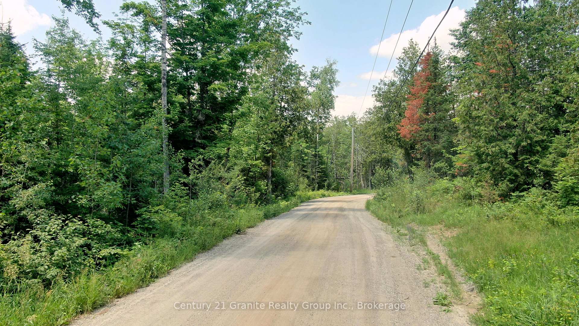 0 Old Hastings Road, Wollaston — photo 1 of 5